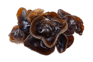 Black Fungus